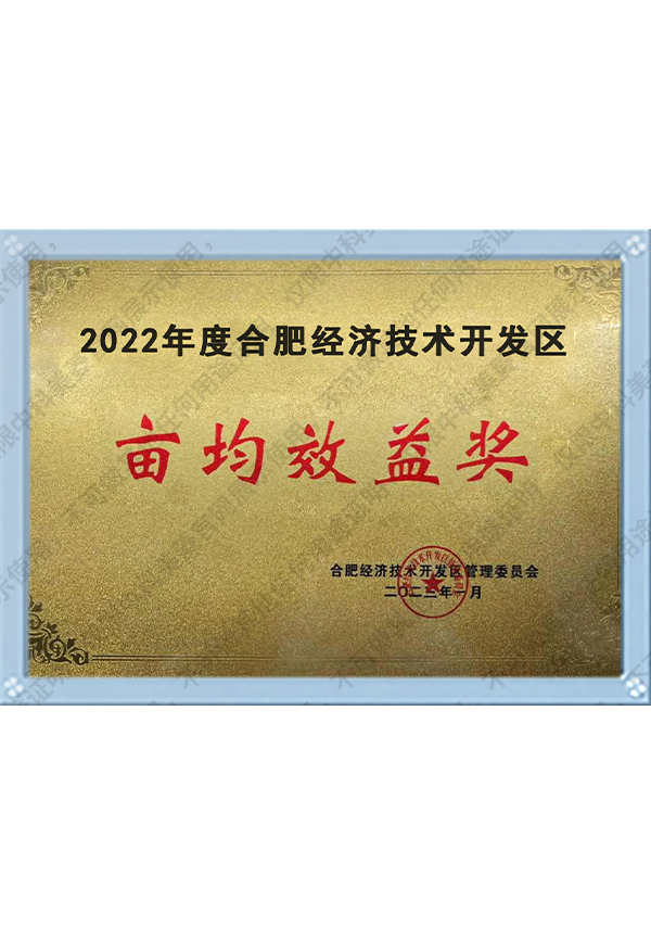 2022年度合肥經(jīng)濟技術(shù)開發(fā)區(qū)畝均效益獎