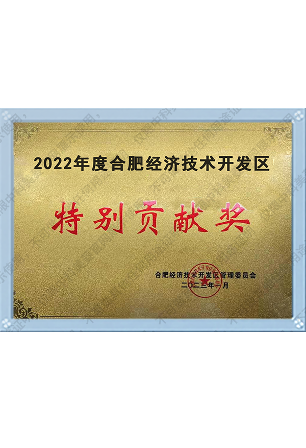 2022年度合肥經(jīng)濟技術(shù)開發(fā)區(qū)特別貢獻(xiàn)獎